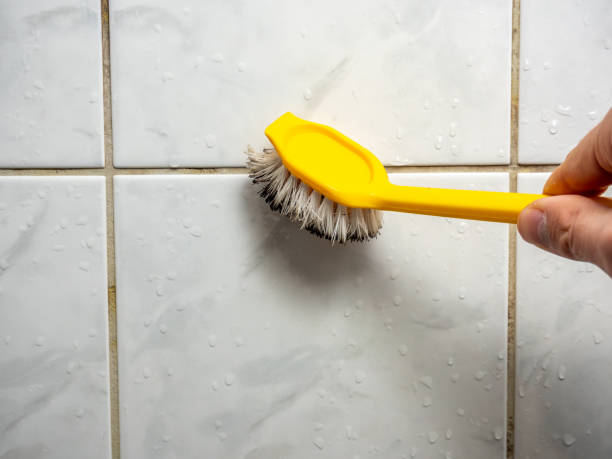 Best Mold Cleaning Services  in Patterson, CA