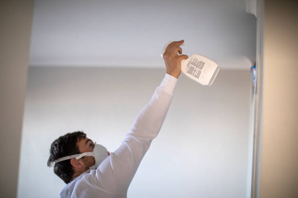 Certified Mold Removal in Patterson, CA
